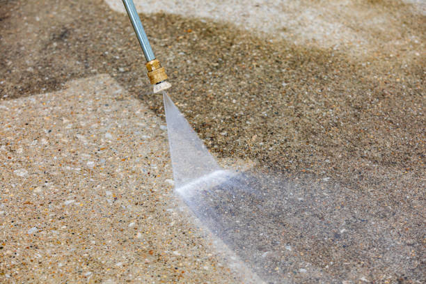 Animal Enclosure Cleaning in Honeyville, UT