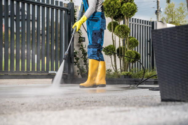 Best Sidewalk and Walkway Cleaning  in Honeyville, UT