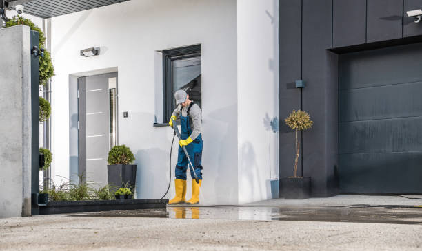 Best Gutter Cleaning  in Honeyville, UT